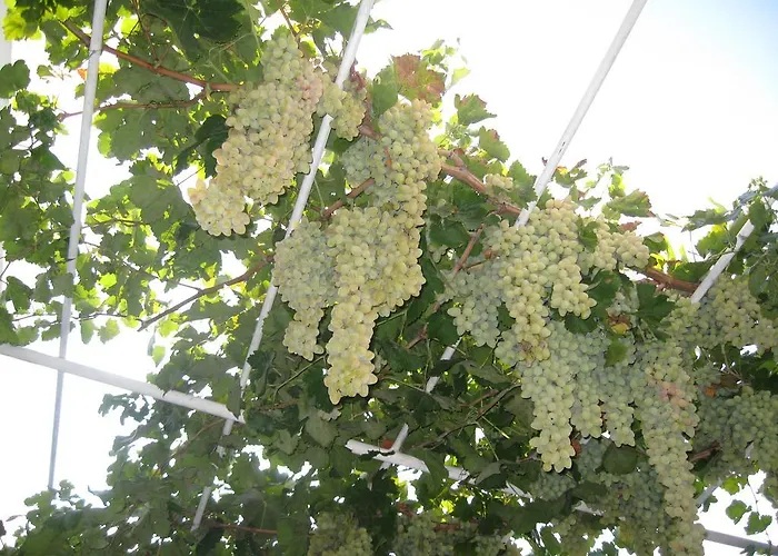 Artemon Hotel Hotel Artemonas