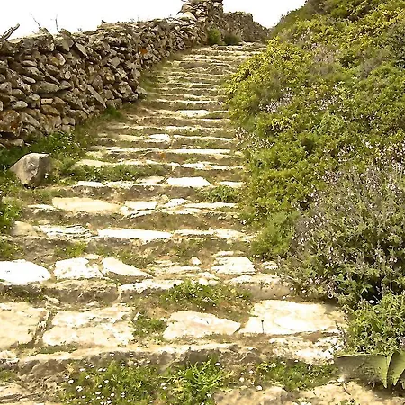 Artemon Hotel فندق أرتيموناس