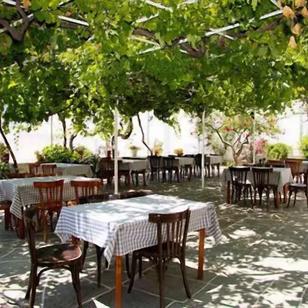 Artemon Hotel מלון Artemonas